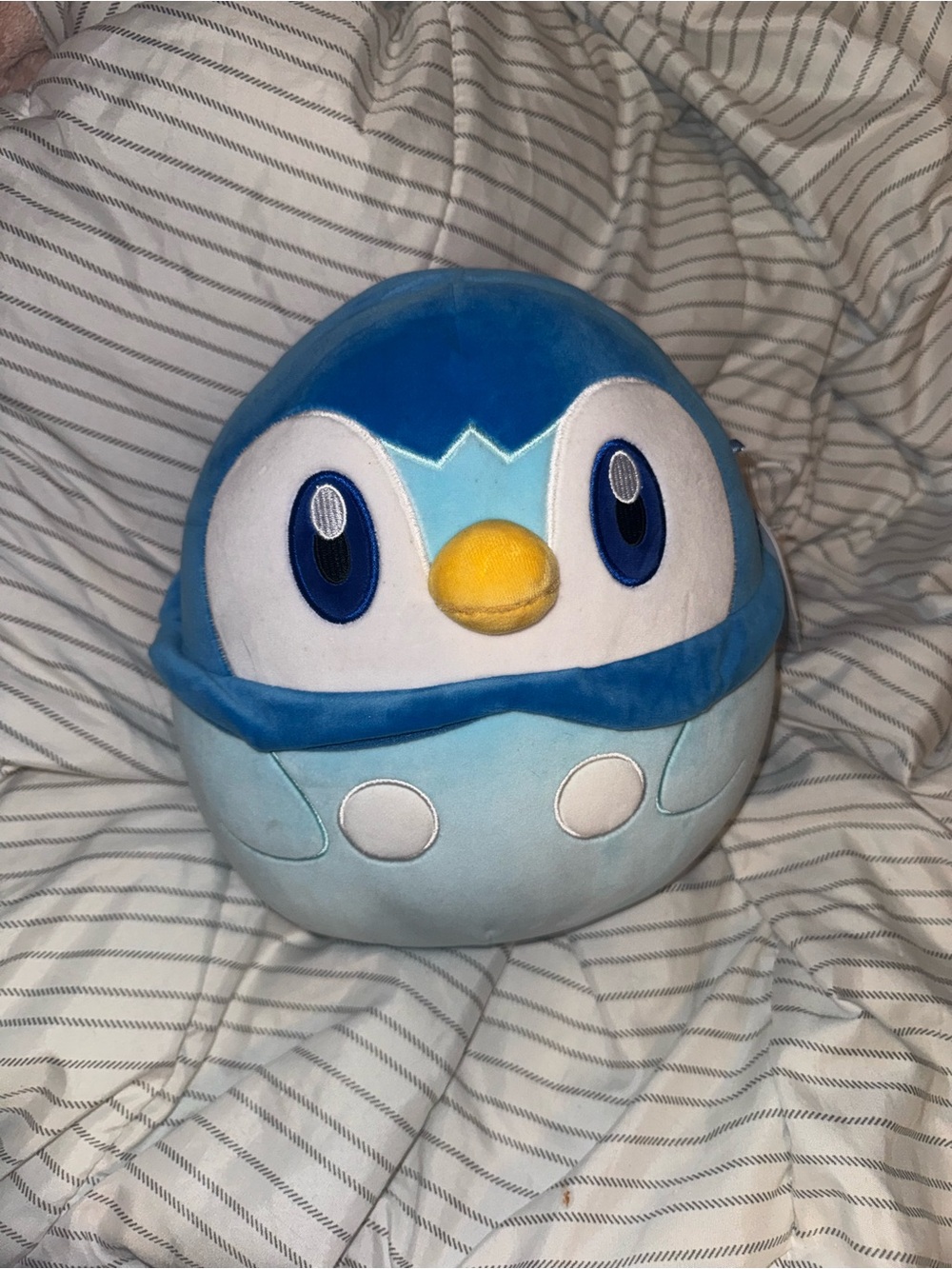 Piplup Squishmallow Pokémon
